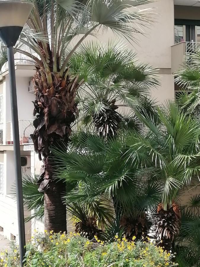 קטאניה " Domus Coralla" Bnb Racconti Di Viaggio מראה חיצוני תמונה