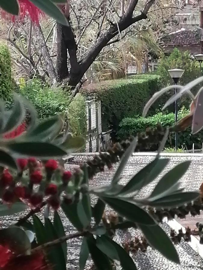 קטאניה " Domus Coralla" Bnb Racconti Di Viaggio מראה חיצוני תמונה