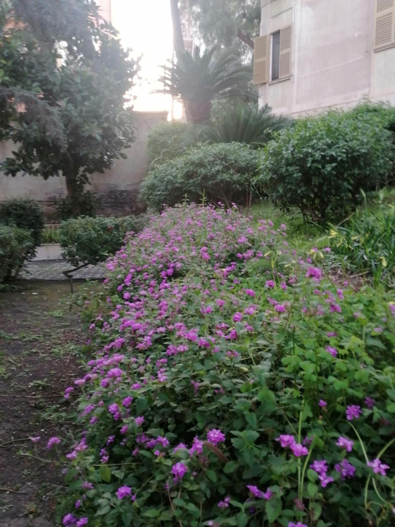 קטאניה " Domus Coralla" Bnb Racconti Di Viaggio מראה חיצוני תמונה